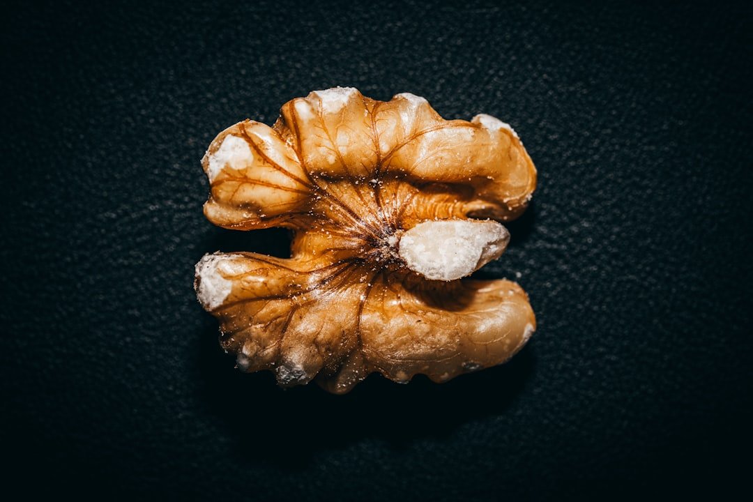 Pumasillu
