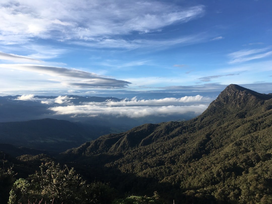 Alto El Alto