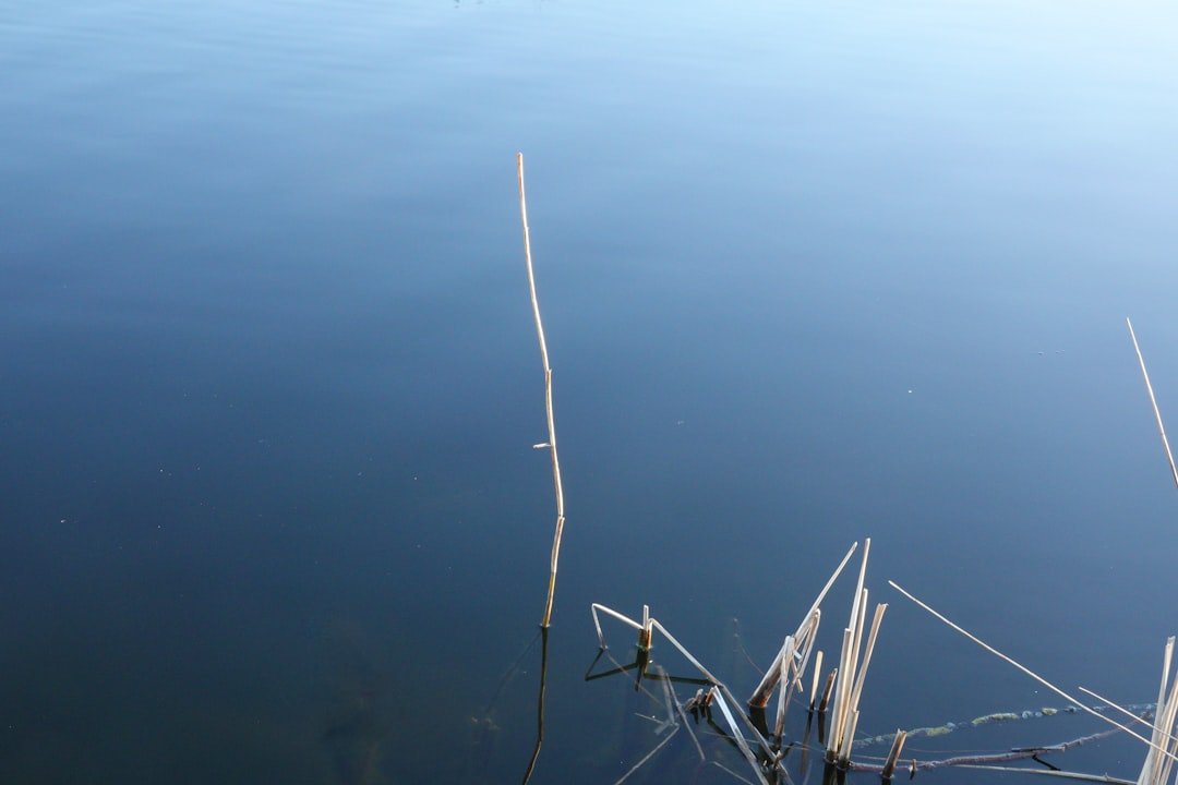 Gabriel Tarn