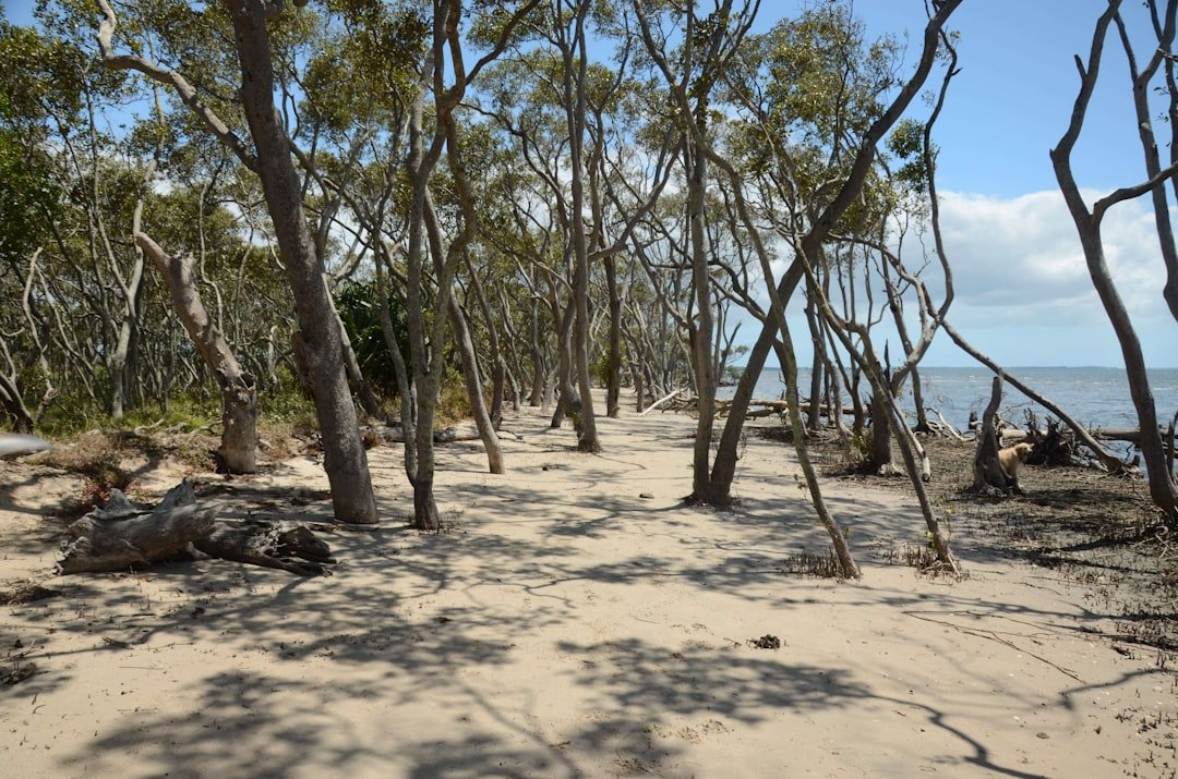 Blackwoods Beach