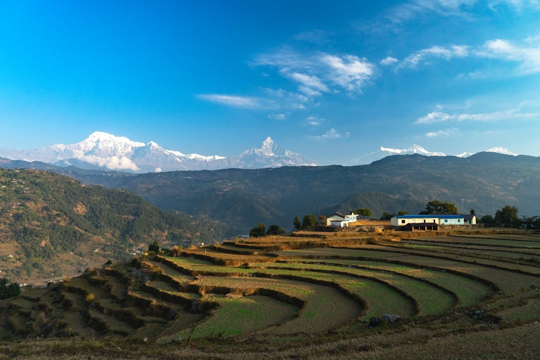 Kang Nachugo