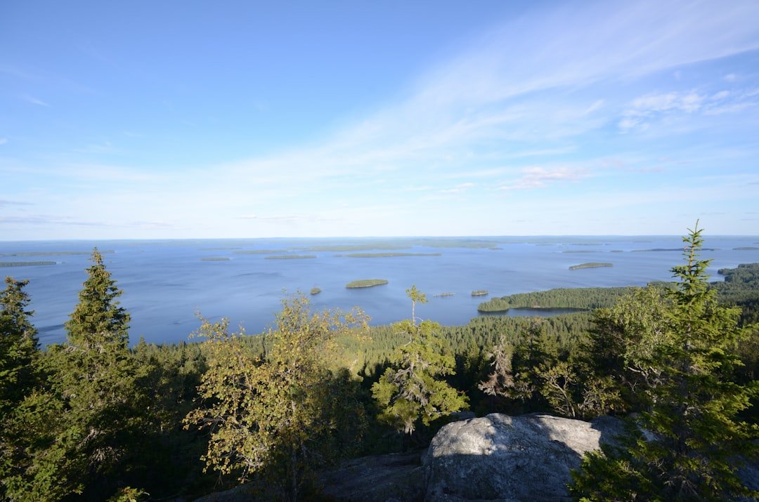 Koli