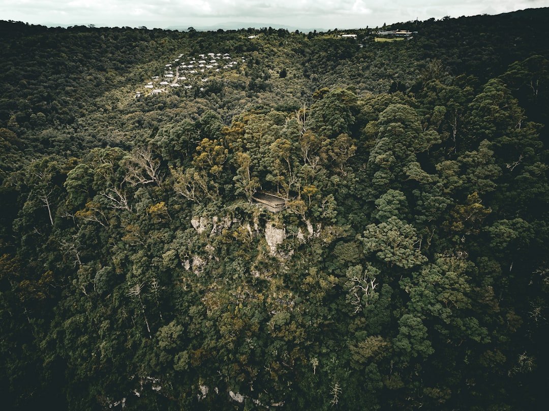 Accommodation Hill
