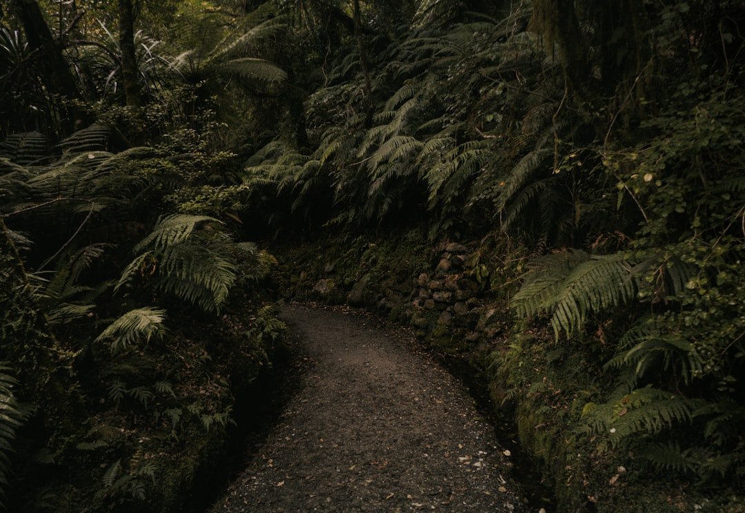 Old Road Cave