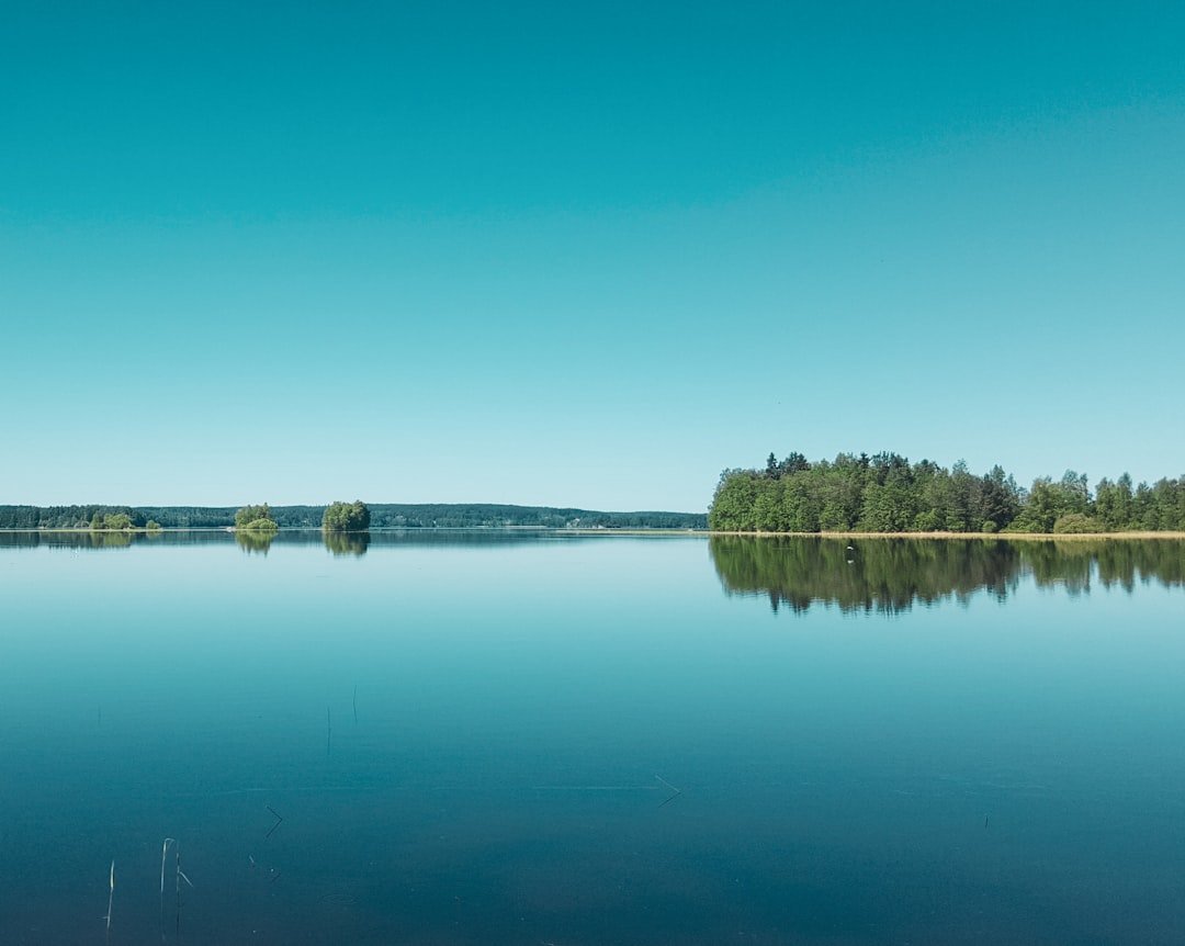 Joenkielinen