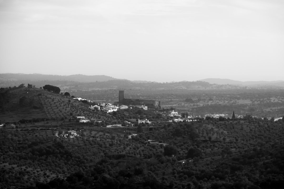 Castle of Portel