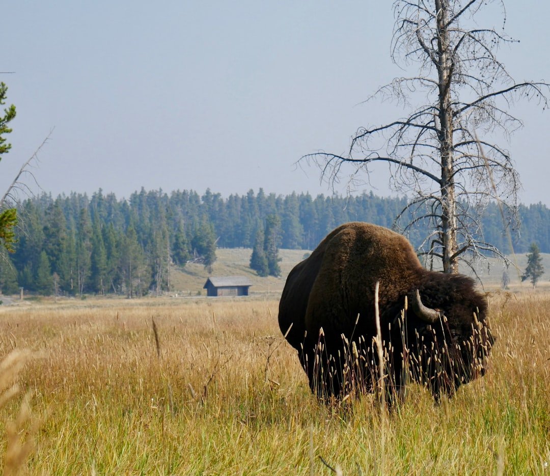 Écrins National Park