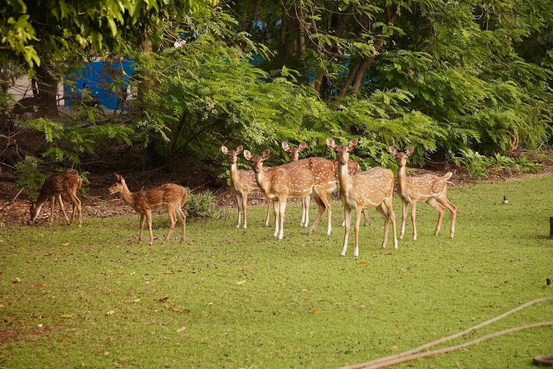 Nam Tok Khlong Kaeo National Park