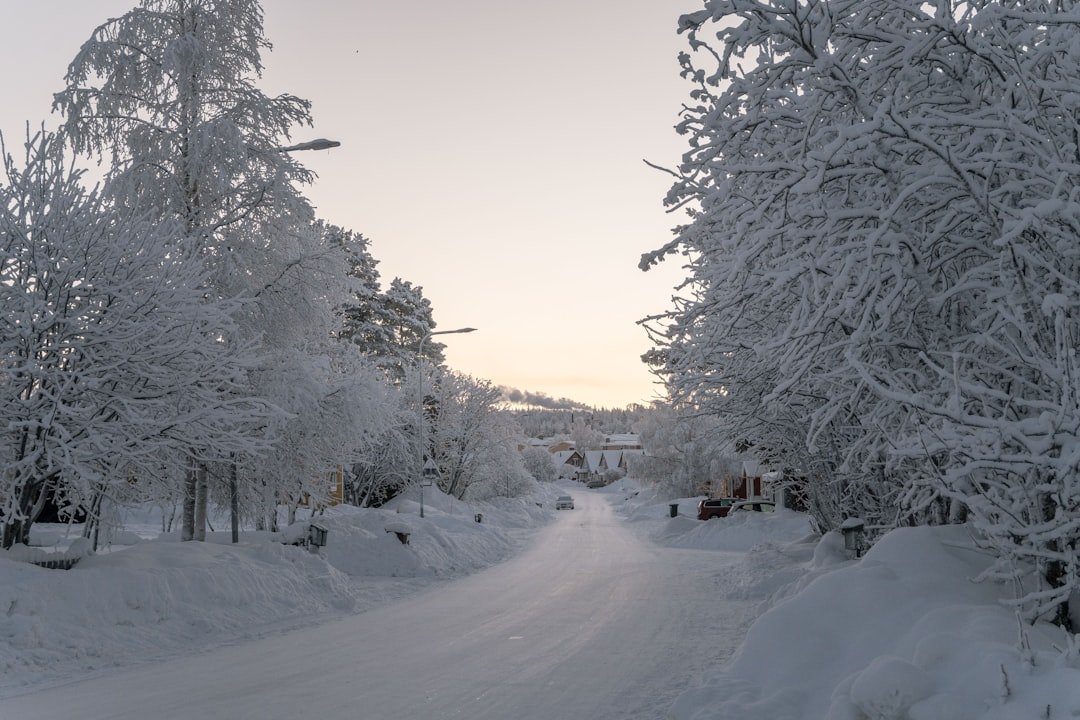 Storglaciären