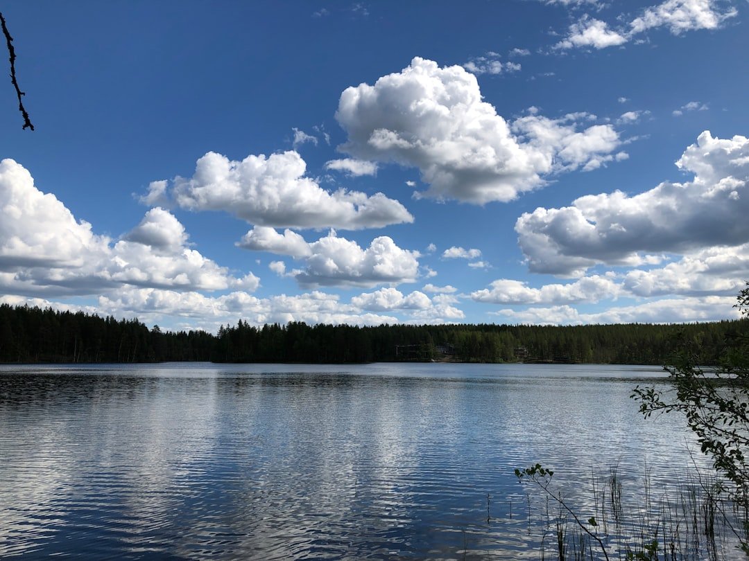 Kaunispää