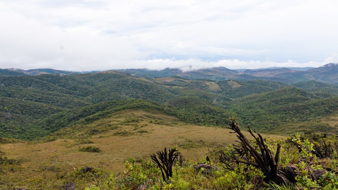 Udzungwa Mountains National Park