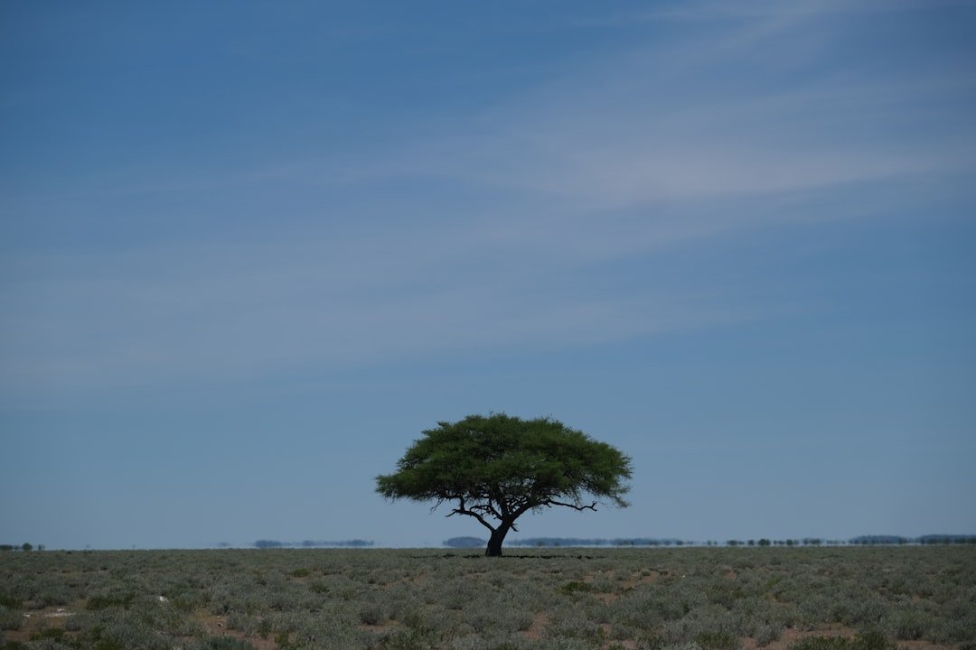 Ekoto