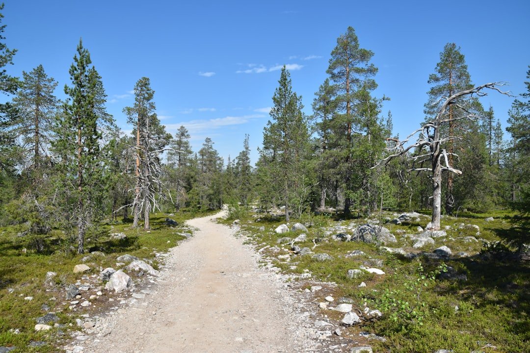 Klintbergen