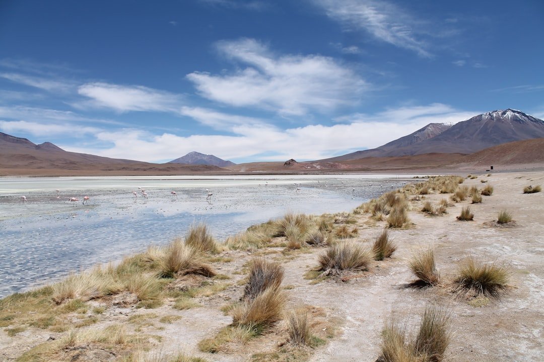 Salinera La Salinita