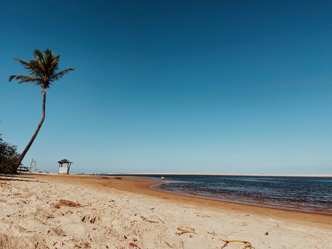 Laboratory Beach