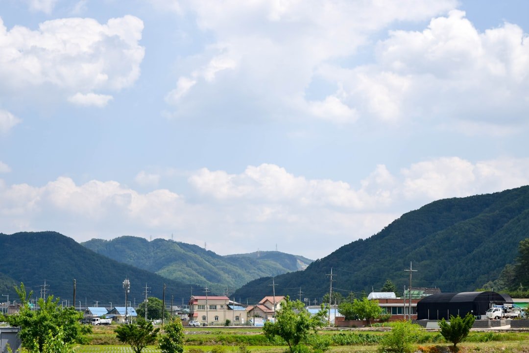 Sadaribawibaram-gul