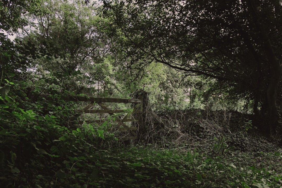 Ardnave Loch
