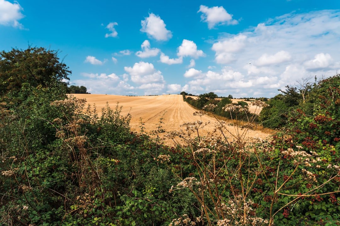 Camber Sands
