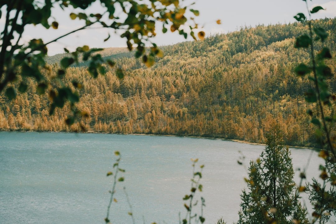 Kajin Sara