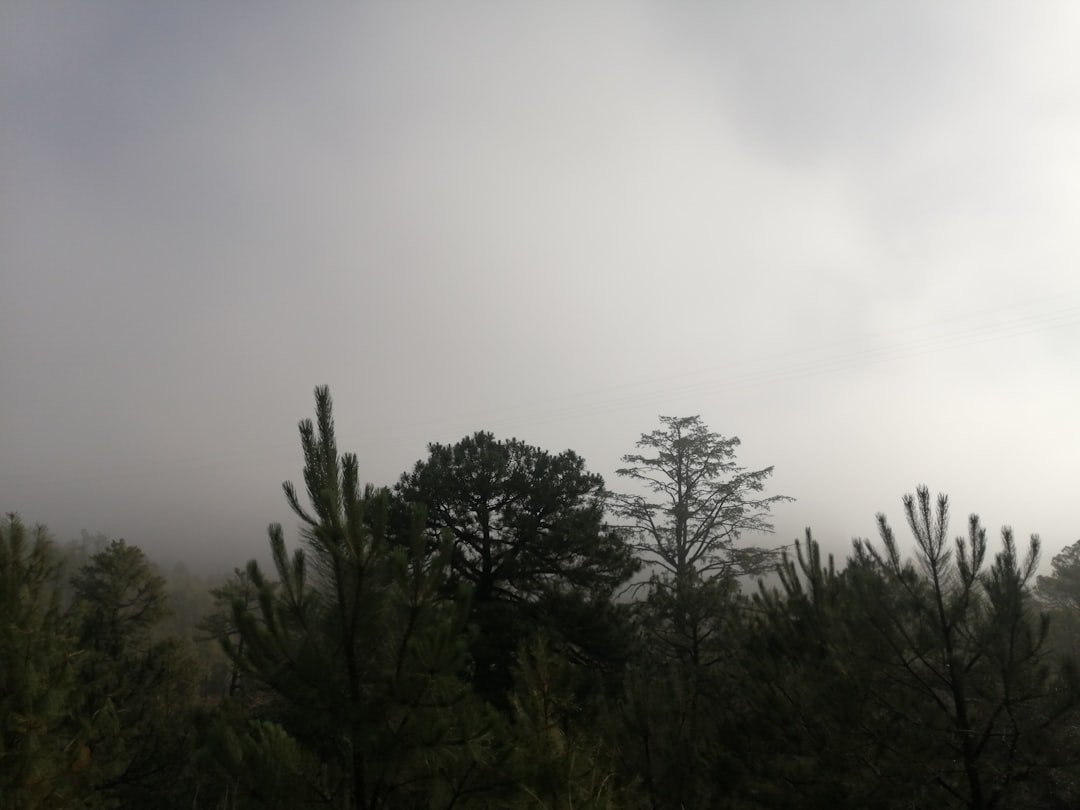 Cerro Neptuno