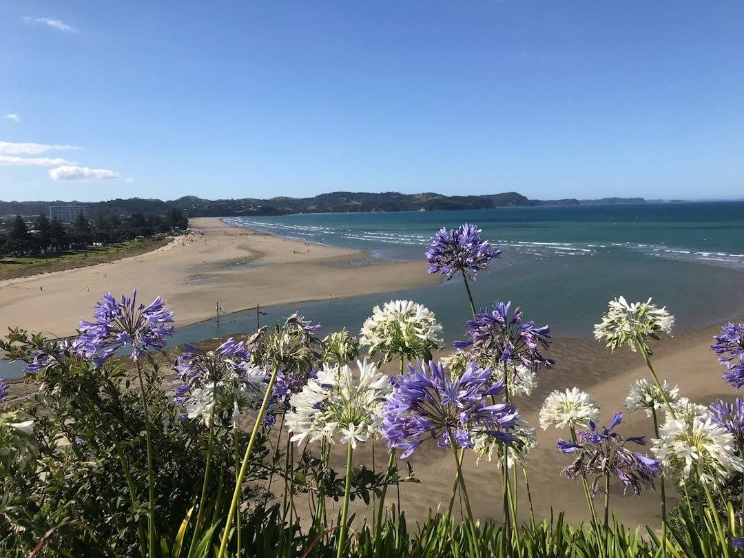 Lucky Beach