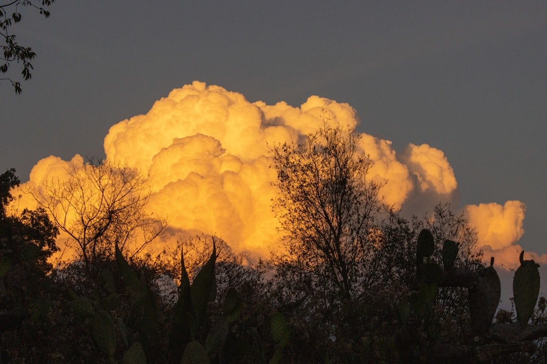 Volcán El Comalito
