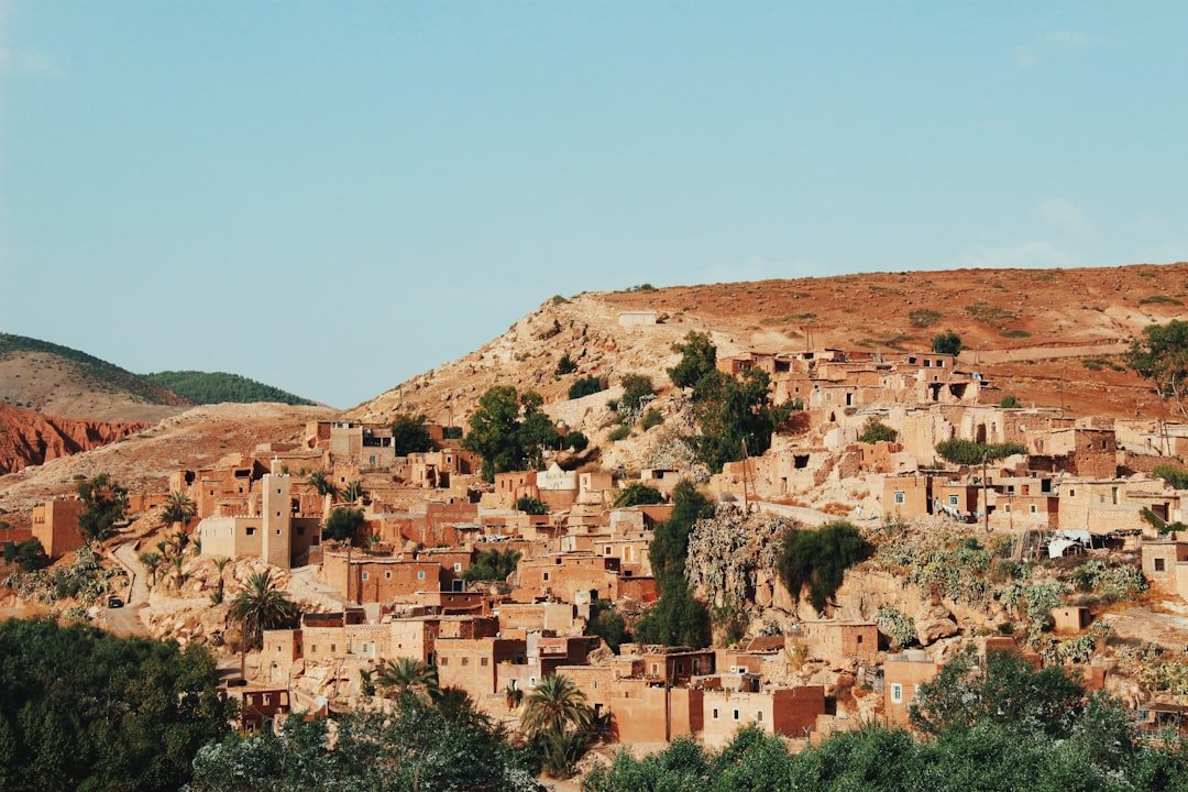 Lmarja Nachfa