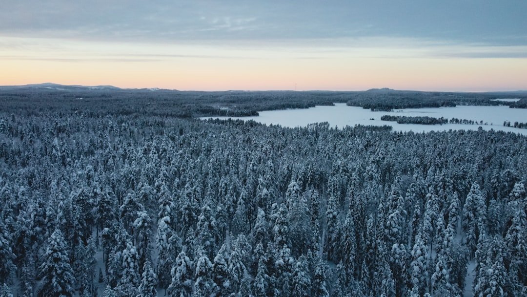 Iso-Syöte