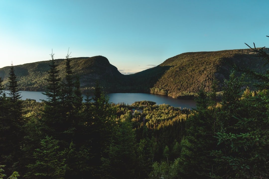 Broad of the Island