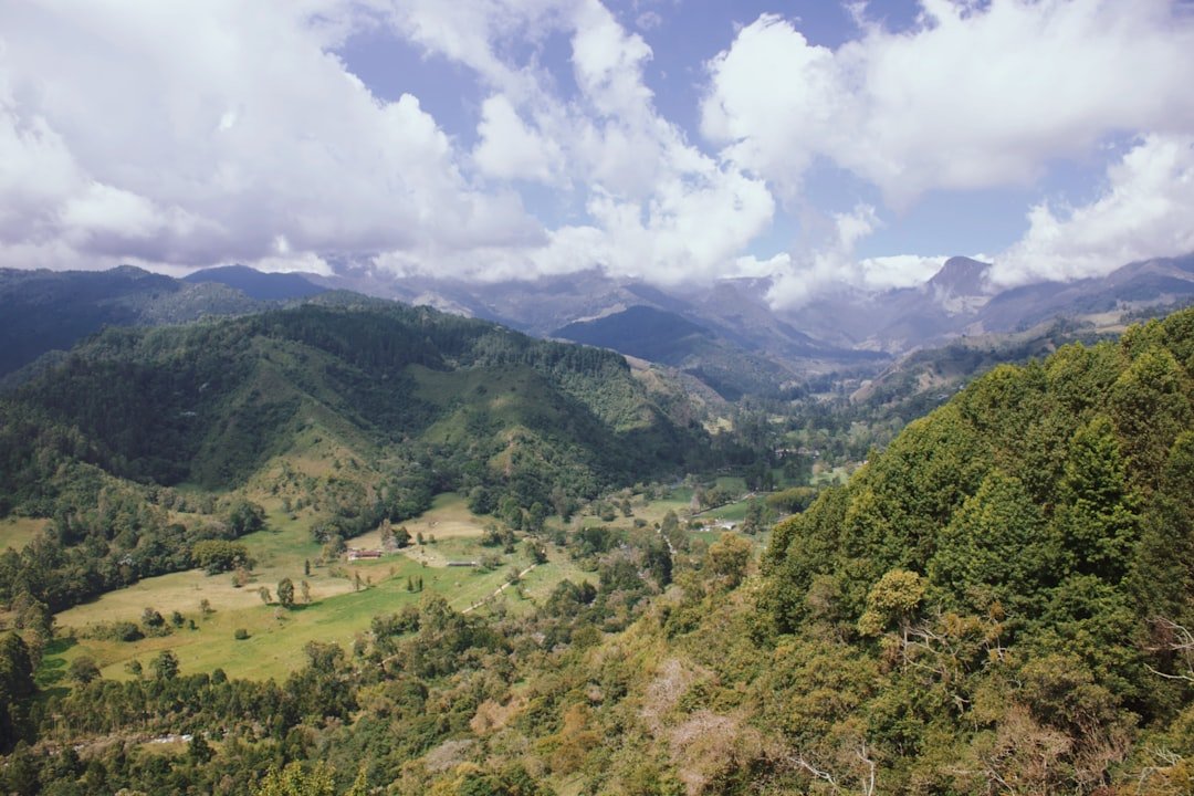 Alto Cerro Gordo