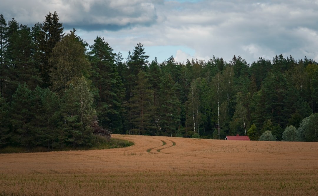 Sarkkiranta