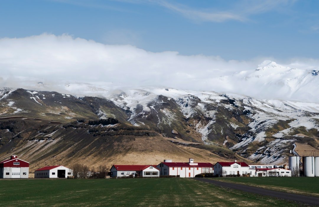 Austurfjörur