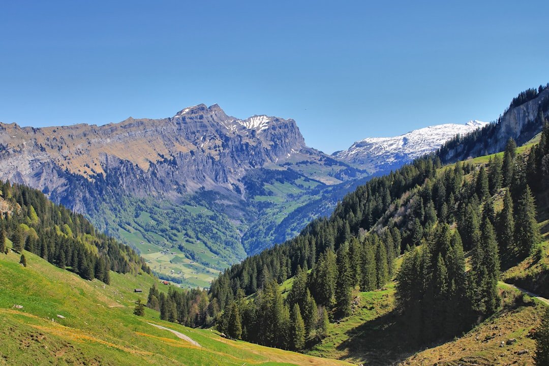 Schwarz Glacier