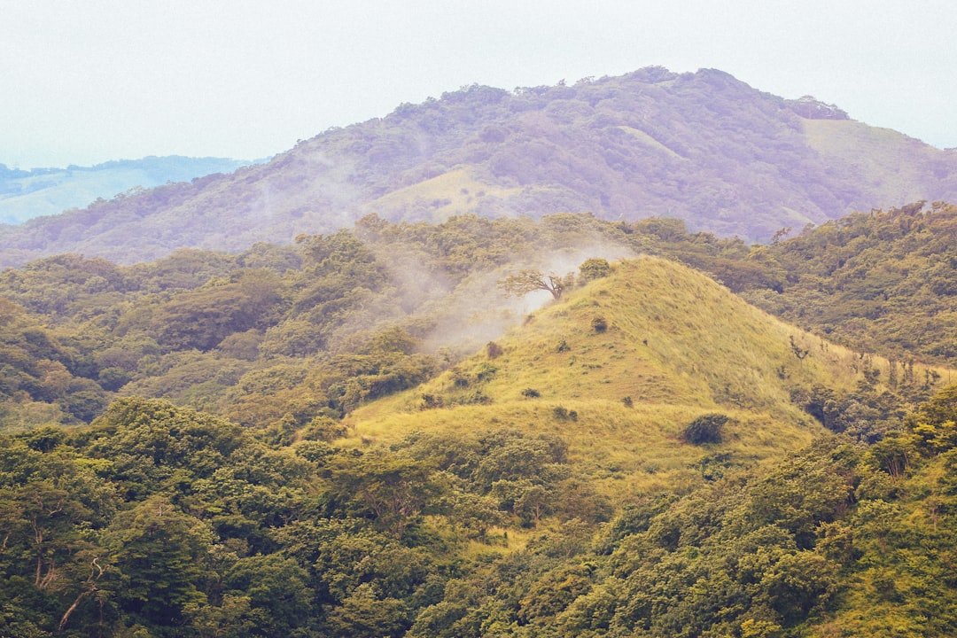 Cerro de los Coyotes