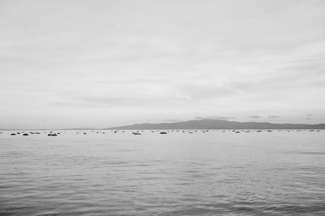 Mussel Beach