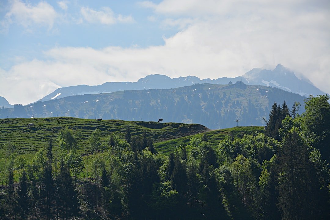 Bergerturm