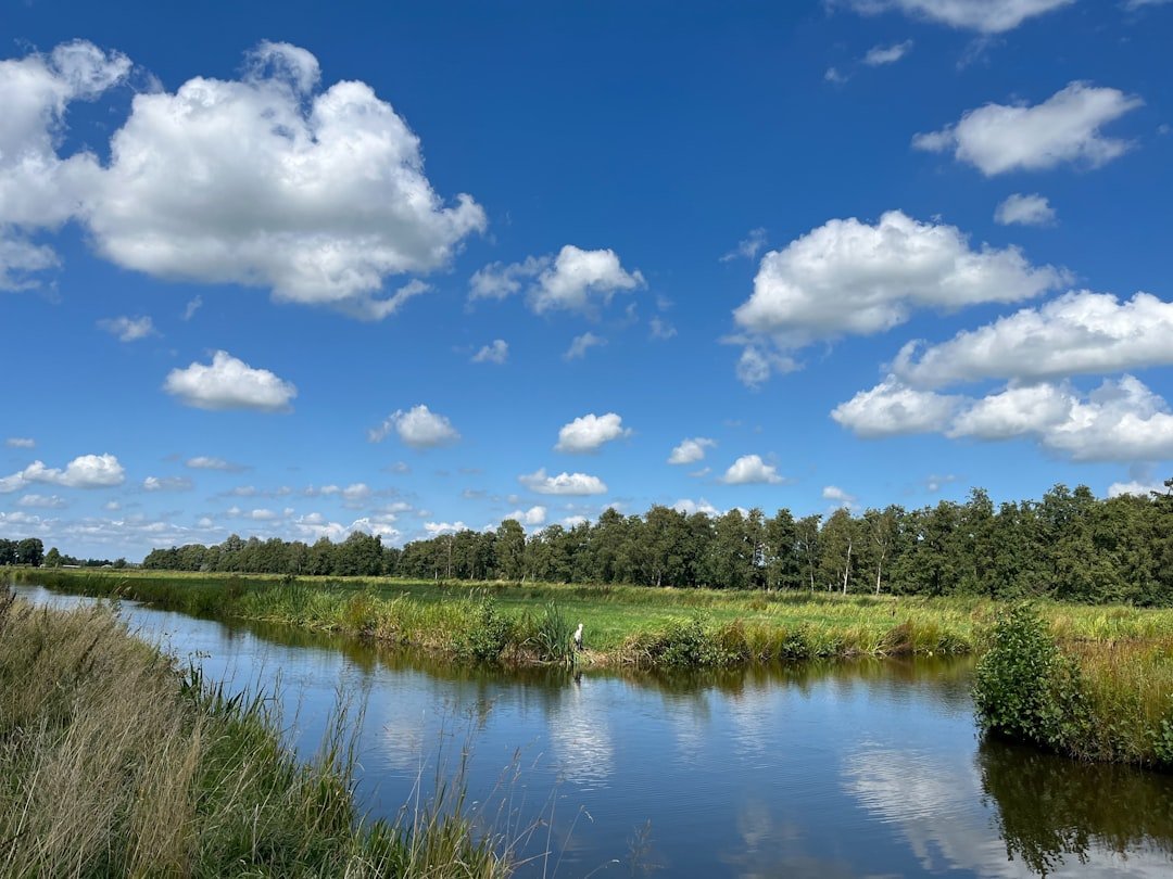 Bovenwijde