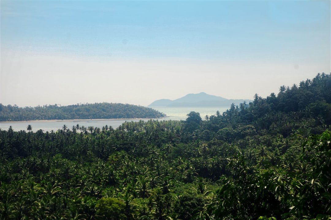 Danau Anyar