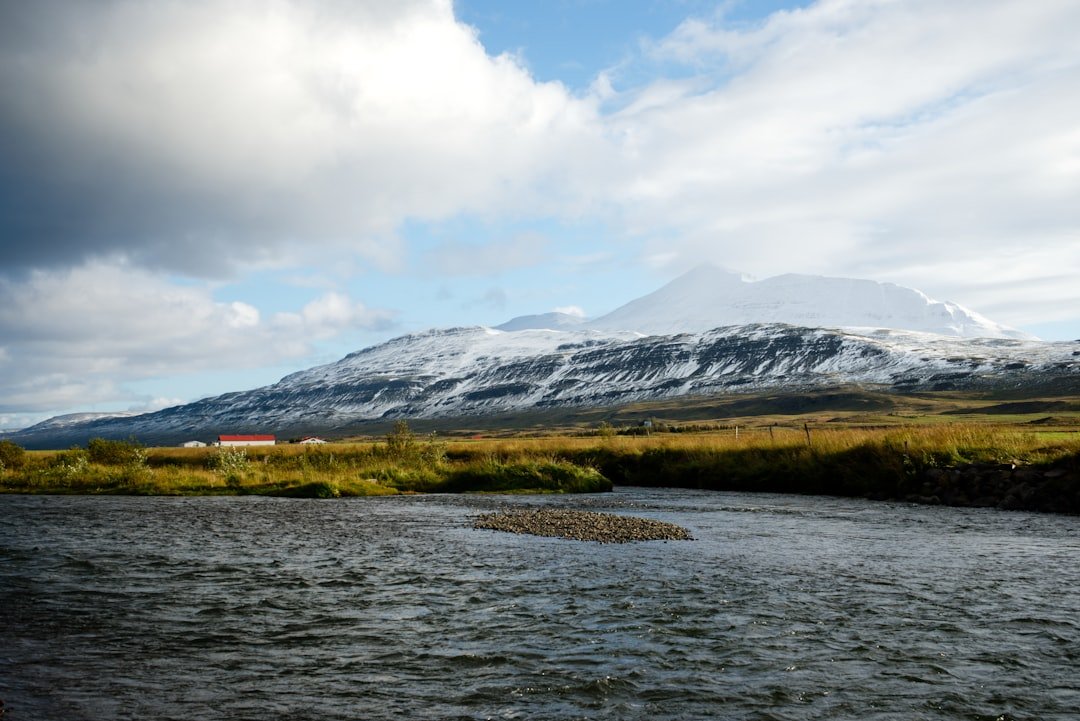 Köldukvíslarjökull