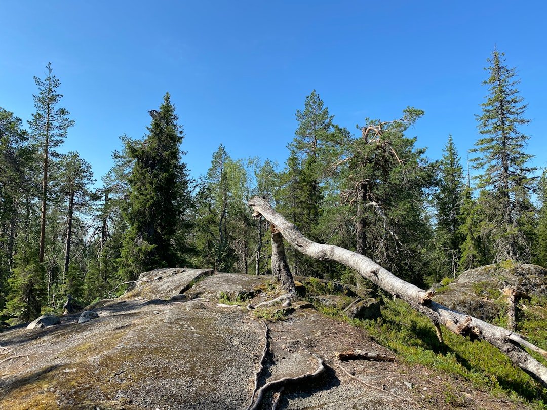 Degerberg
