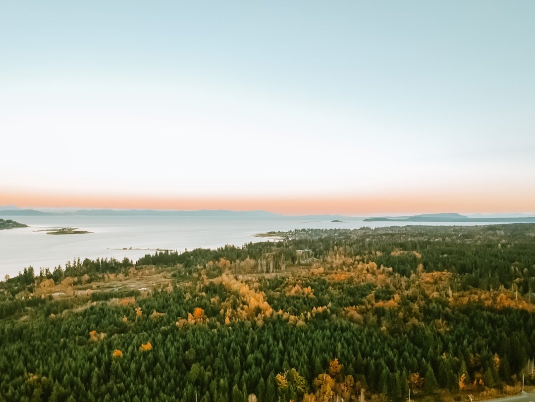 Qajakkuvik