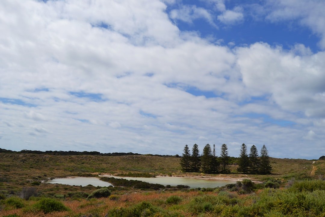 A P M Aeration Pond