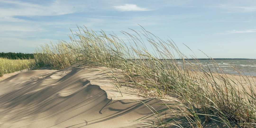 Yyteri Beach