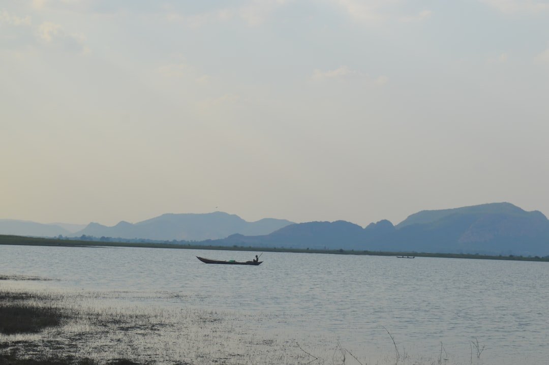 Mandlankunzi
