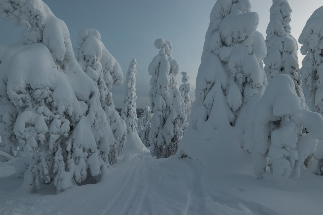 Gopmirdanoaivi