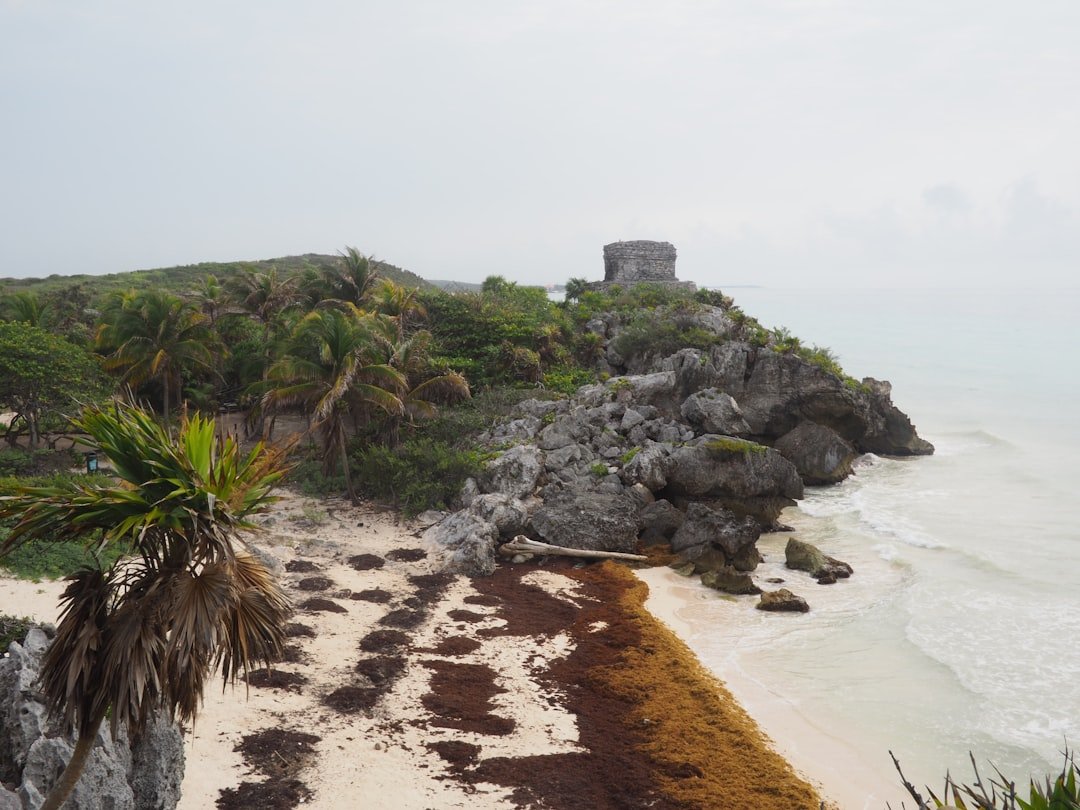 Playa El Arrocito