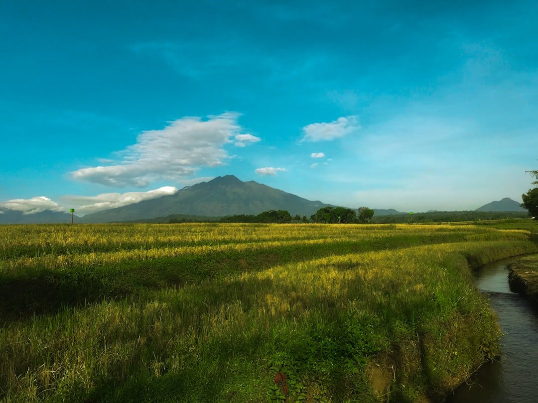 Mountain Telomoyo