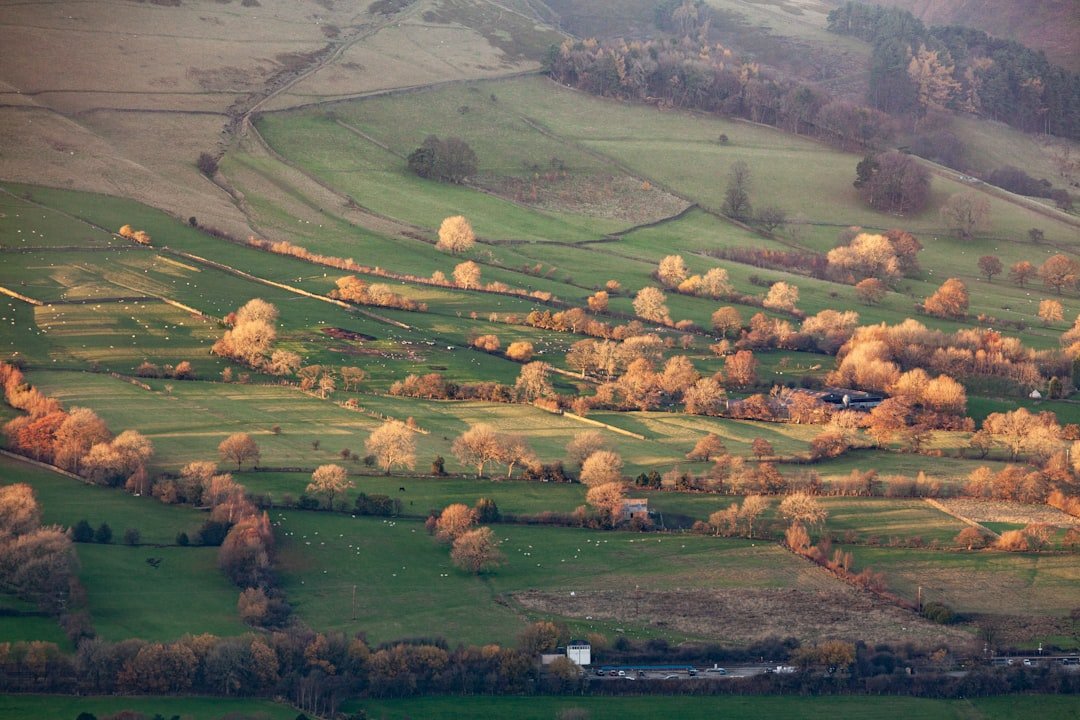 Arnside Knott
