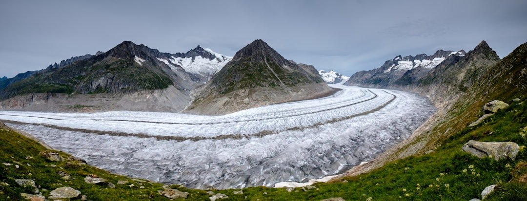 Glacier de Tortin