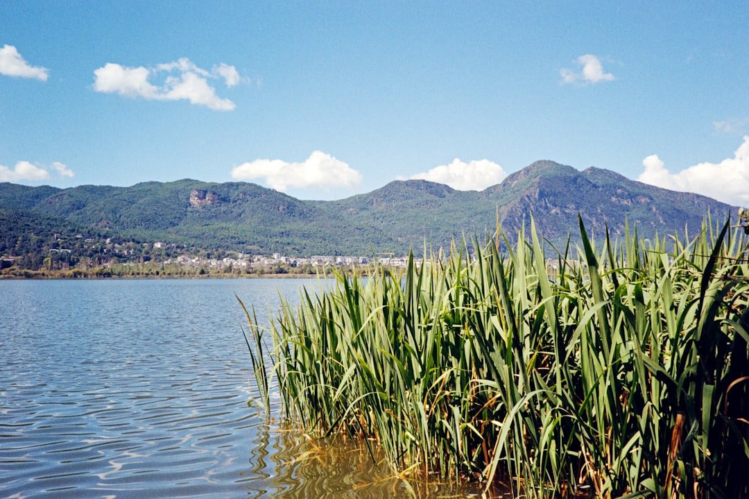 Lake Arareco